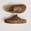 Northwoodnotions.shopf7779ca687 1