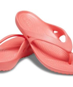 Northwoodnotions.shop33145100cf 1