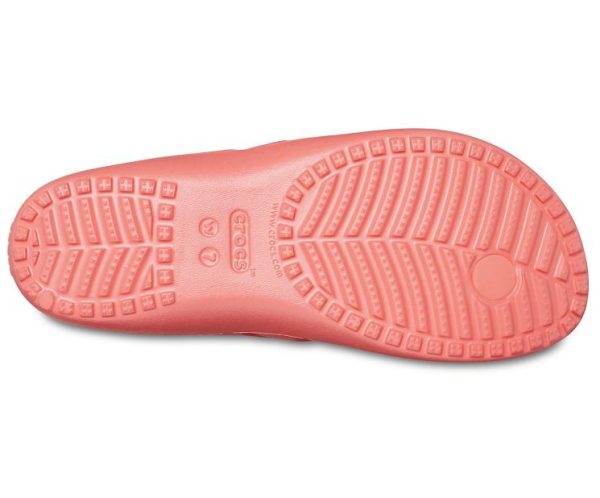 Northwoodnotions.shop33145100cf 4