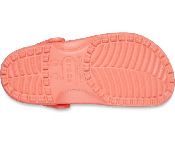 Northwoodnotions.shop5df8ca8a07 4