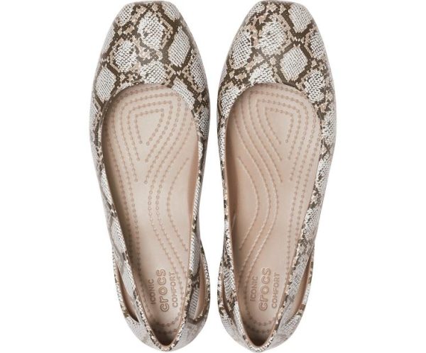 Northwoodnotions.shop7e5d25efdf 3