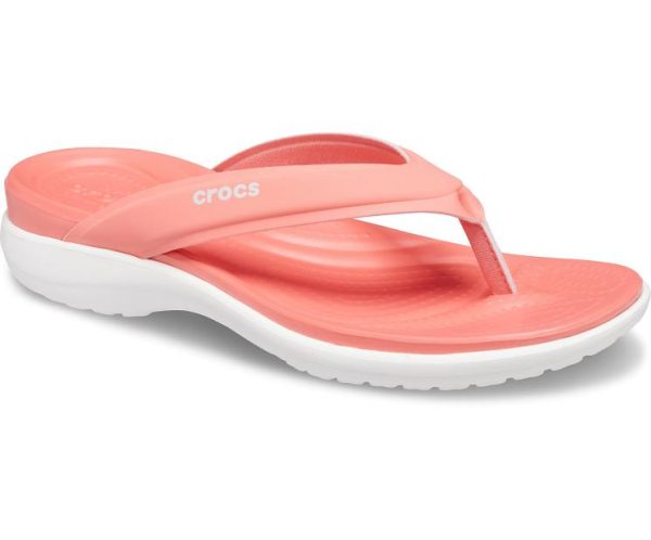 Northwoodnotions.shop8a750173d5 5