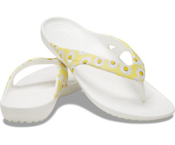 Northwoodnotions.shopf586853515 1