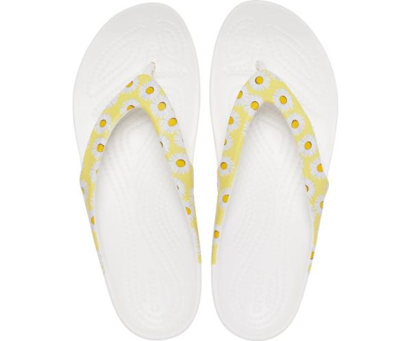 Northwoodnotions.shopf586853515 3